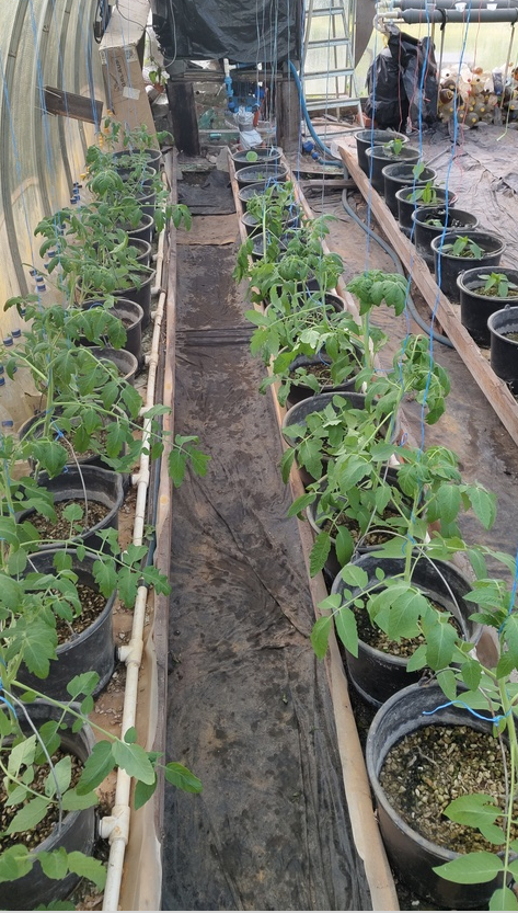 Автоматизация теплицы