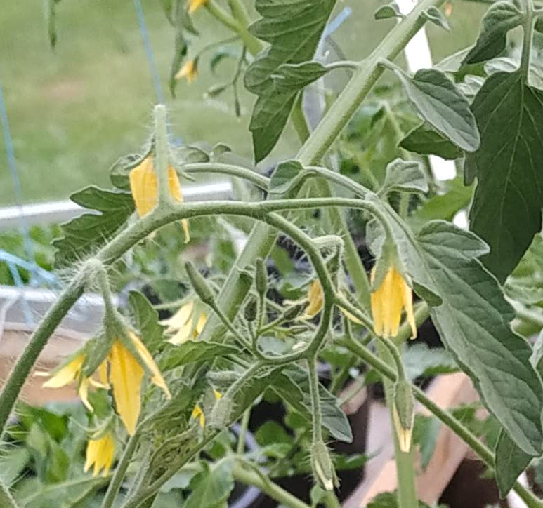 Простая настройка