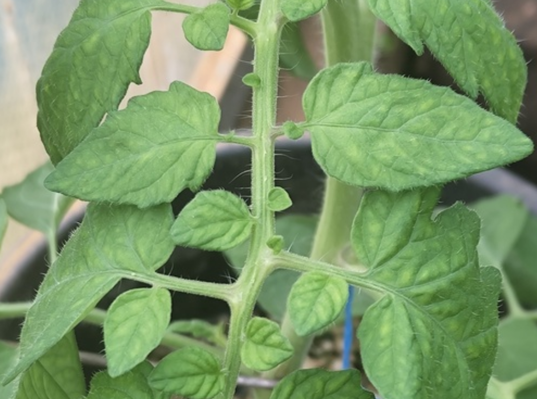 Удаленный доступ